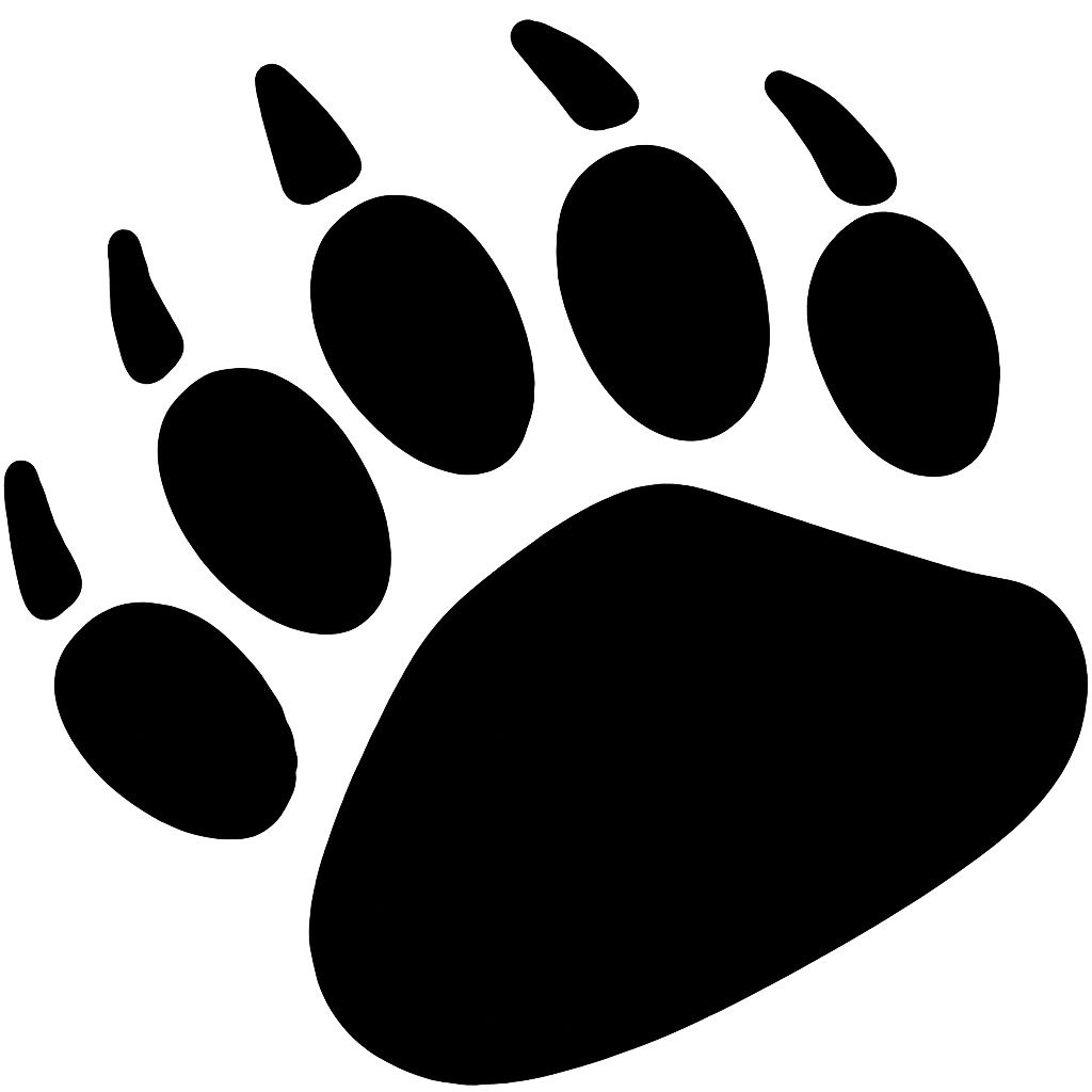 Menuiserie Numérique de l'Ours